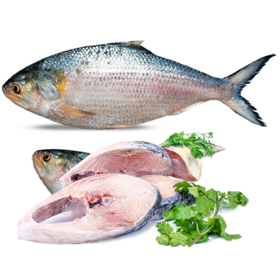 ছোটো ইলিশ মাছ
