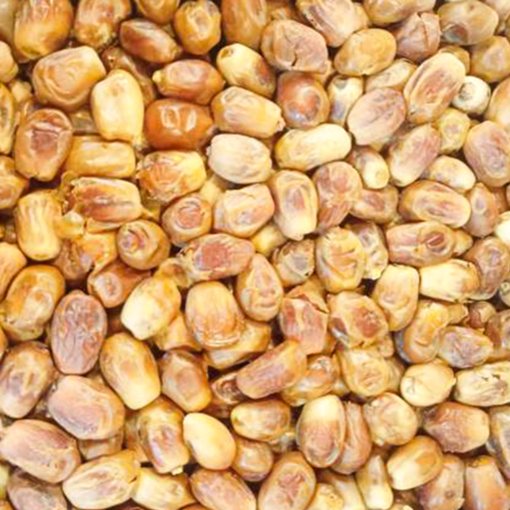জিহাদি খেজুর