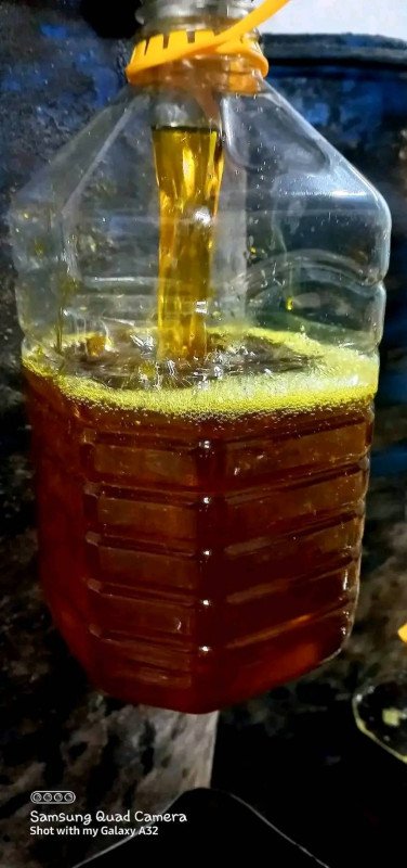 সরিষার তেল